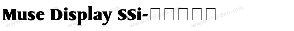 Muse Display SSi字体转换